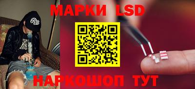 прущие грибы Ангарск