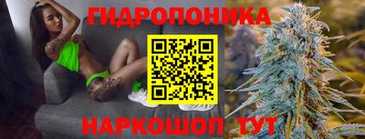 прущие грибы Ангарск