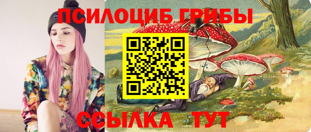 Богородицк  Псилоцибиновые грибы мухоморы  Вход с VPN  Псилоцибиновые грибы мухоморы 